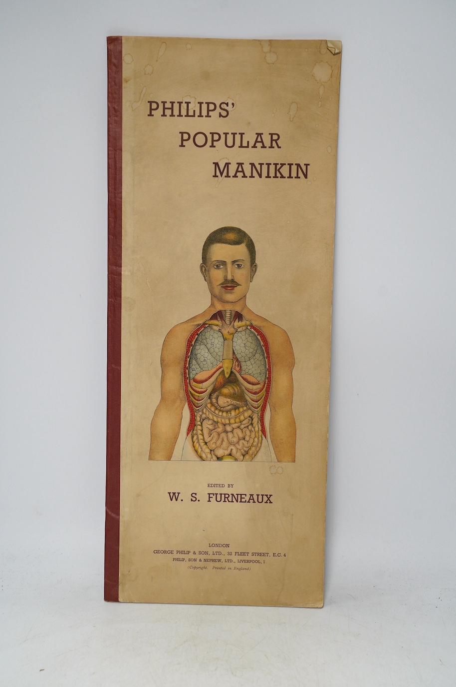 Two late 19th century anatomical publications; Philips’ Popular Manikin, containing a foldout chart of the human body showing cross-sections of the internal organs, etc., 49.5cm x 20cm, together with a large poster style